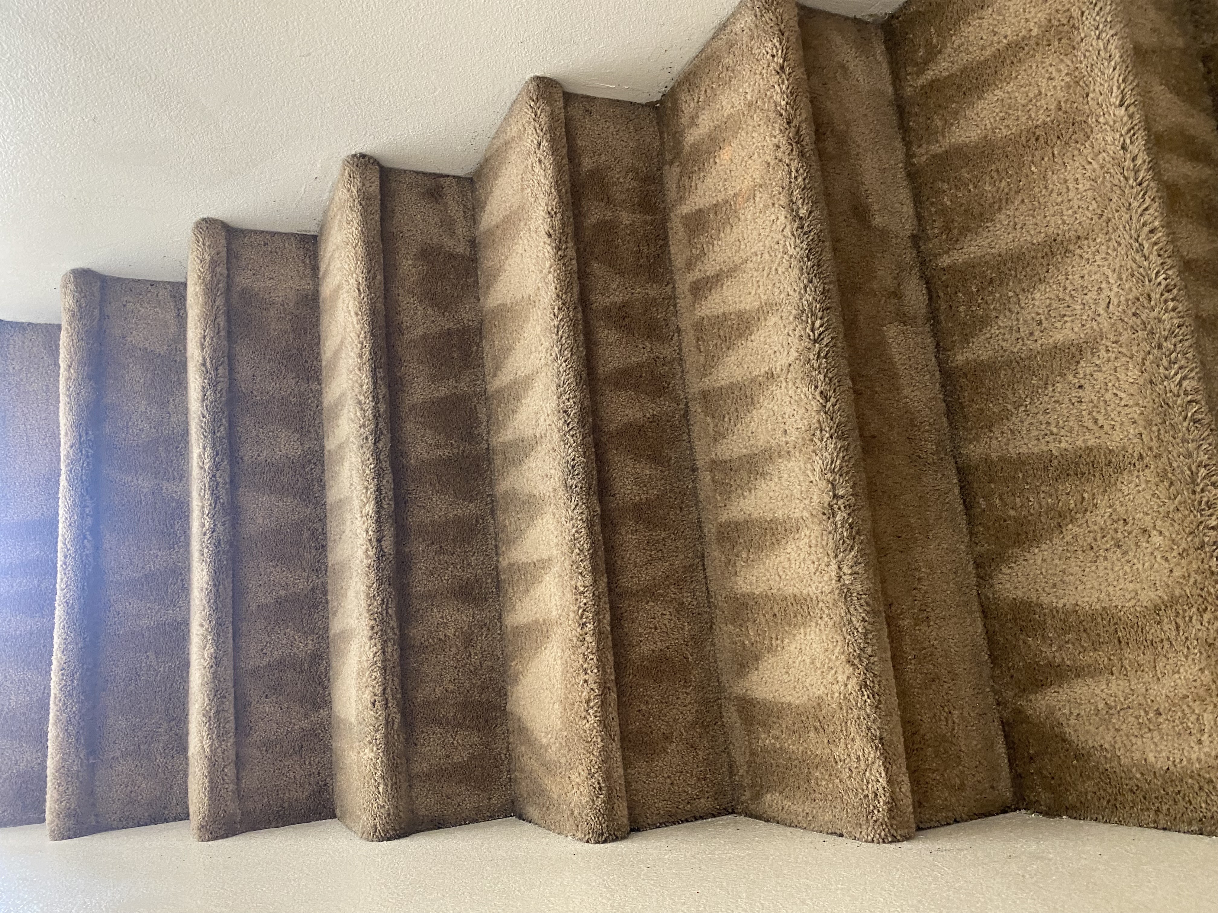 Room carpet after cleaning