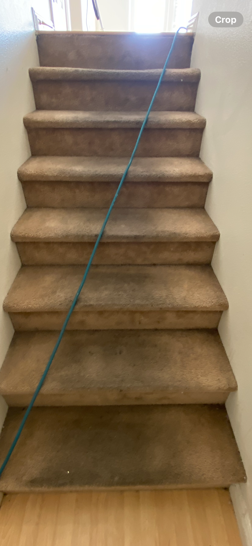 Room carpet before cleaning